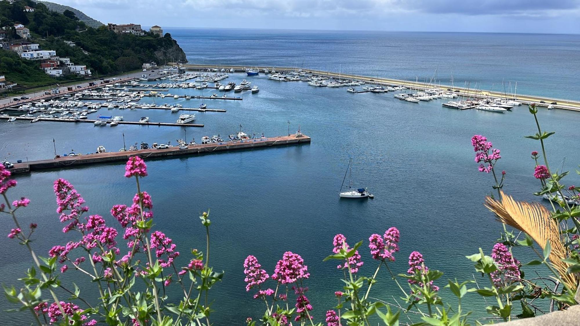 Suites Luisa Sanfelice Agropoli Eksteriør billede